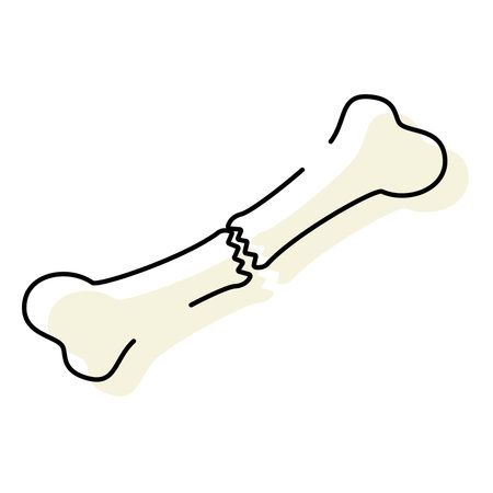 Colored broken bone Medicine icon Vectorのイラスト素材