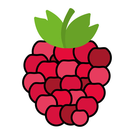 Colored blackberry fruit icon Vectorのイラスト素材