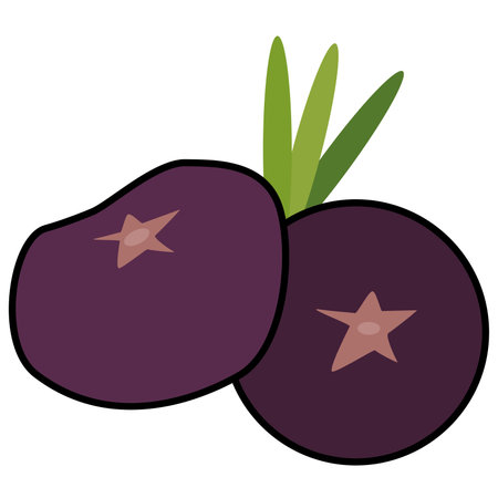 Colored fruit icon Vectorのイラスト素材