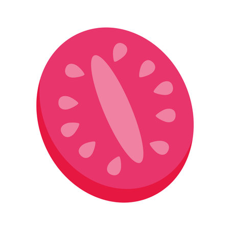 Red tomato slice top view. Vector illustrationのイラスト素材