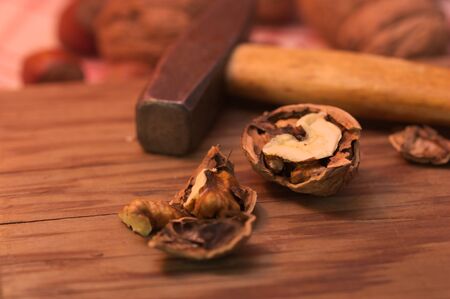 A freshly cascaded nut next to the hammer that has been used to break the nutshell