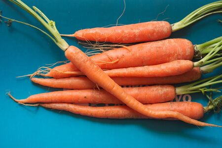 Close-up of some carrots fresh from the ground on a blue surface