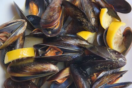 Plate of steamed mussels with lemon and peppercorns in which all mussels are open