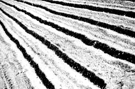 Black and white image that forms a pattern of black lines that meet at a point near one of the upper corners of the imageの写真素材