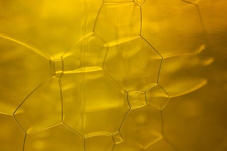 Macro image of golden and ocher colored bubbles with a light from behind forming a random patternの写真素材