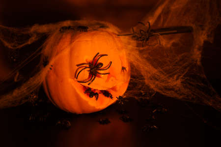 A halloween pumpkin with a knife stuck in it, black spiders above it, and spider web above it on a dark background.の写真素材
