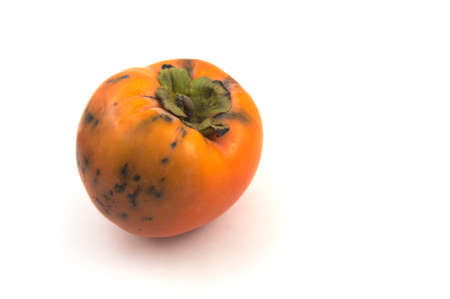 Close-up of a persimmon spoiled by a hailstorm isolated on white backgroundの写真素材