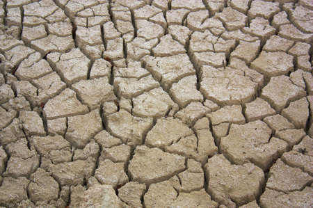 Image of an area where a lack of water has caused the surface to dry out and crack into an irregular...