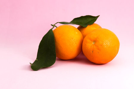 Still life of three oranges with green leaves on pink background with copy space to the left of the...