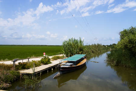 A wooden boat on a jetty in the L'Albufera area of Valencia (Spain) in the background you can see the rice fields that are still greenの写真素材