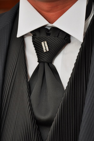 Groom tie with jewelsの写真素材