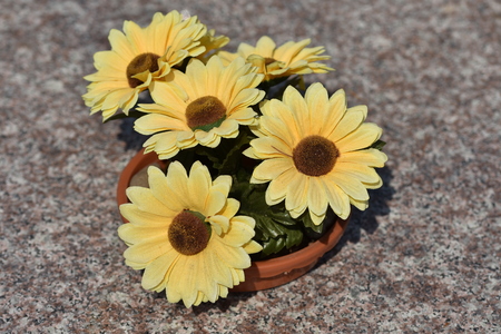 artificial yellow flowersの写真素材