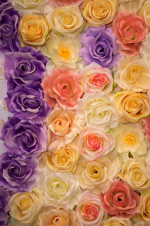 Beautiful vintage Rose background. Elegant style floral.の写真素材