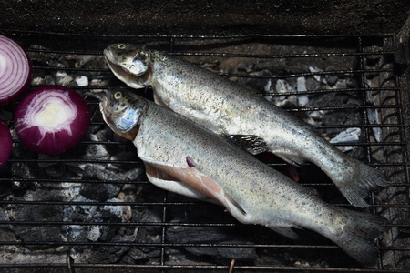 Trout and red onion friedの写真素材