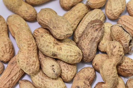 peanuts in shells,Groundnuts