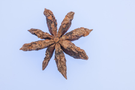 Star anise spice fruits and seedsの写真素材