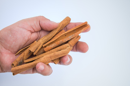 Cinnamon stick spice in hand isolated on white backgroundの写真素材