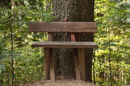 WOODEN BENCH in the woods , Corlateni, Pojorata, Suceava , Romaniaのeditorial素材