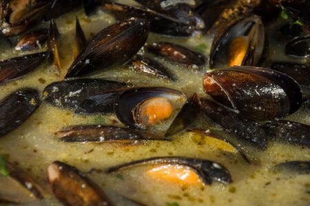 shells in wineの写真素材