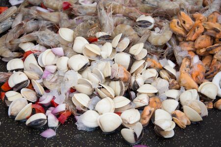 shells and shrimp in wineのeditorial素材