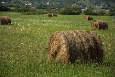 Bale of wheat on field at Bistrita,Romania,2019のeditorial素材