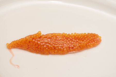 Orange caviar rye from trout fish   on a plateの写真素材