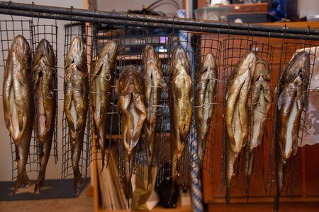 Fresh smoked fish in a smokehouse: carps, troutsの写真素材