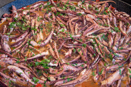 tentacles  calamari octopus in Bistrita,Romania 2020