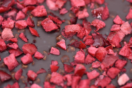 Bitter chocolate with cranberries and quinoaの写真素材