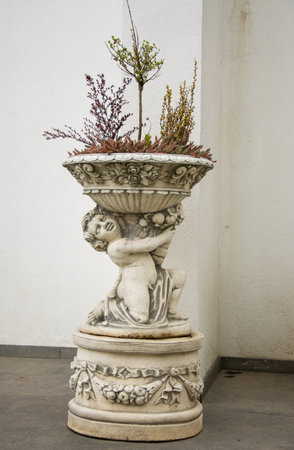 flower stand at Dumbrava Monastery, Alba, ROMANIA, 2021の写真素材
