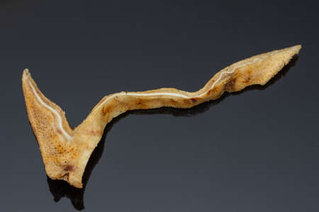 fried pork ear and seasoned with salt