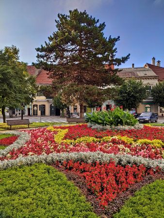 Bistrita, Romania, flower round in the Central Square 2021の写真素材