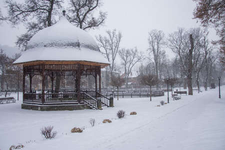 Frozen lake in the city park in December 2021, Bistrita, Romaniaのeditorial素材