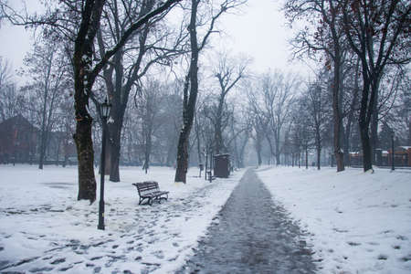 Winter in the City Park in Bistrita, Romania, 2021, Decemberの写真素材