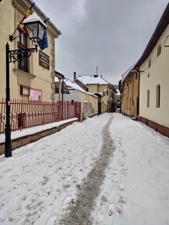 Snow-covered alley on Bistrita Independence Boulevard, Romania, 2022, Januaryのeditorial素材
