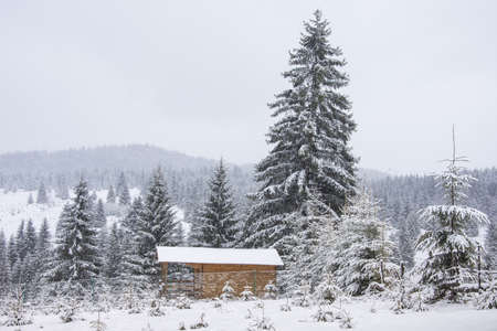 Winter landscape at Piatra Fantanele, Tihuta, Bistrita, Romania, April 2022の写真素材