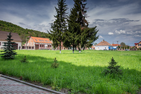 Land with green grass and fir trees in Viisoara, Bistrita, Romania 2022のeditorial素材