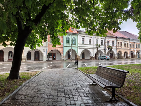 Romania, Bistrita, the Sugalete Ensemble on a rainy day in May 2020のeditorial素材