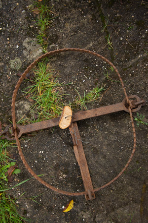 Vintage Rusty Animal Trap Primitive Metal Hunting Trapの写真素材