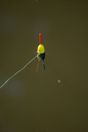 Colored Fishing Cork on the water of a lakeの写真素材