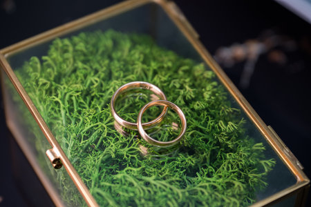 Gold Engagement-Wedding Ring in a gilded box with lichen