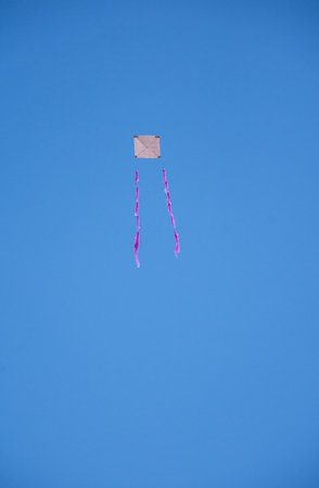 A kite in the blue sky in Romaniaの写真素材