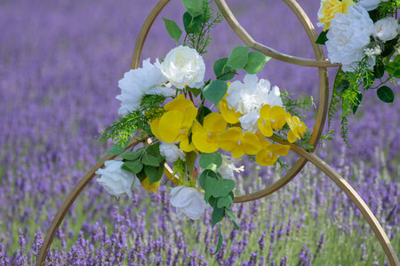 Floral arrangement in Field with lavender flowers in Delureni, Bistrita, Romania, July 2024の写真素材