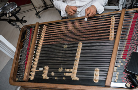 How to Choose a Hammered Dulcimer, left hand fingers on the dulcimer strings