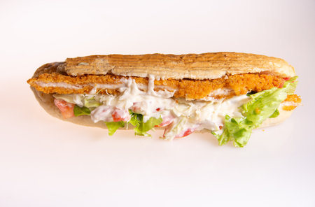 Sandwich with onion and tomatoesの写真素材