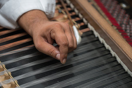 How to Choose a Hammered Dulcimer, left hand fingers on the dulcimer strings