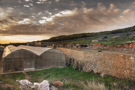 Vegetable greenhouses at Romanian Prodromou Skete, February, 2023の写真素材