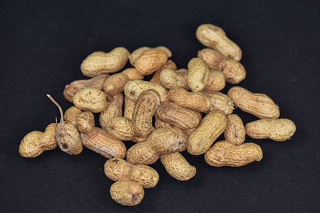 peanuts in shells,Groundnuts