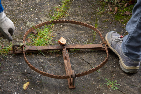 Vintage ,Rusty, Animal ,Primitive ,Metal ,Hunting ,Trap ,2026,Germanyの写真素材