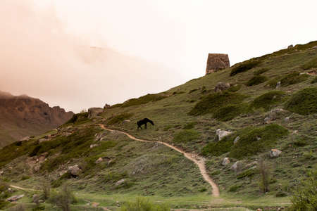 landscape hut in the mountains and horseの写真素材